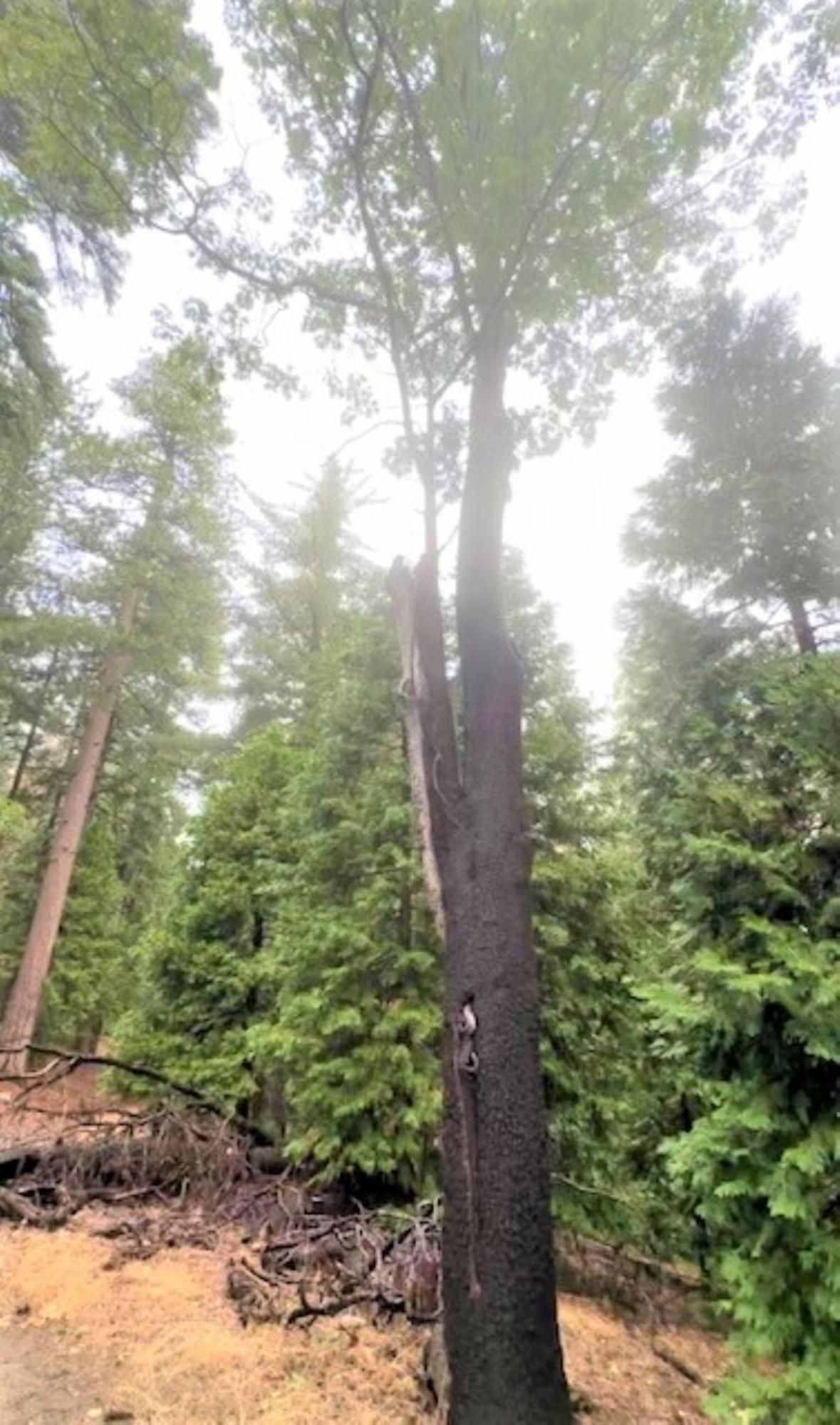 North Bay At Lake Arrowhead Blue Jay Exterior photo
